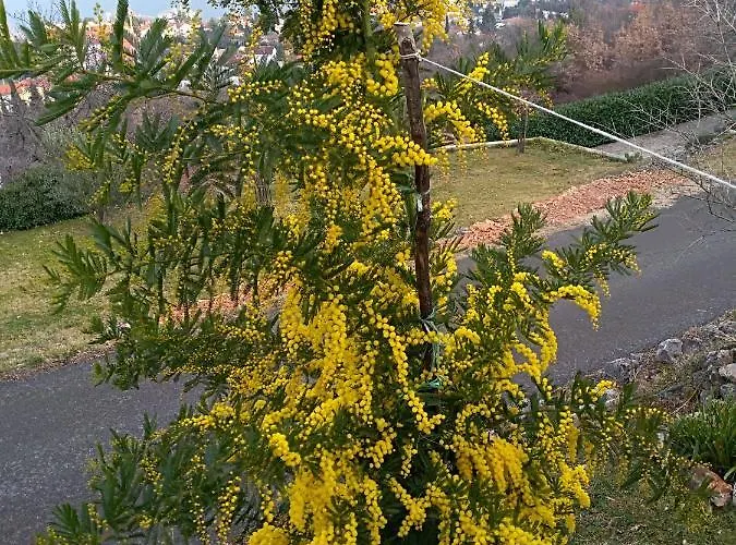 Amazing View Kvarner Bay Apartment *